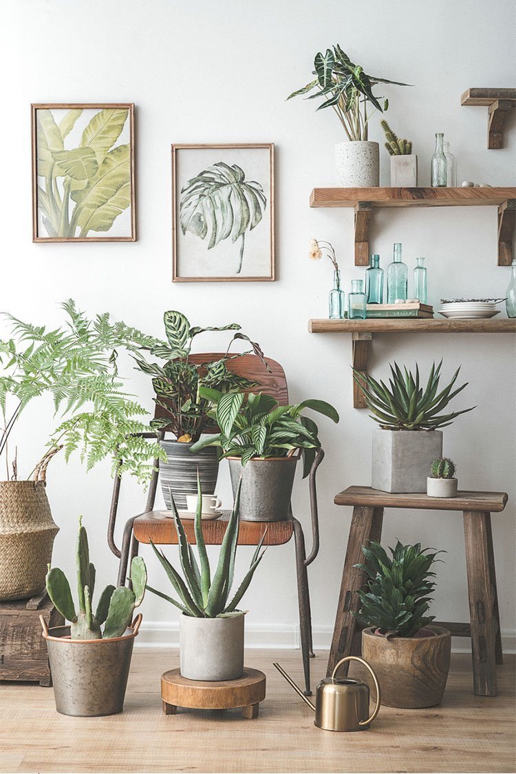 Étagère murale et présentoir en bois pour salon, chambre à coucher, bureau, cuisine